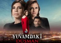 Yuvamdaki Dusman: Dusmanul din casa episodul 6 film HD subtitrat in romana FINAL